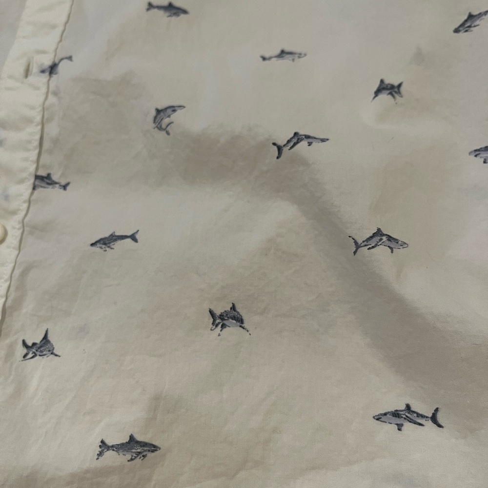 Bonobos Riviera - Picture 3 of 3